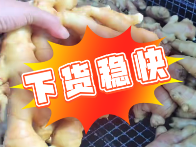 5月16日 生姜价格行情（下货稳快） ()