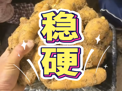 5月20日 安丘黑埠子（稳硬） ()