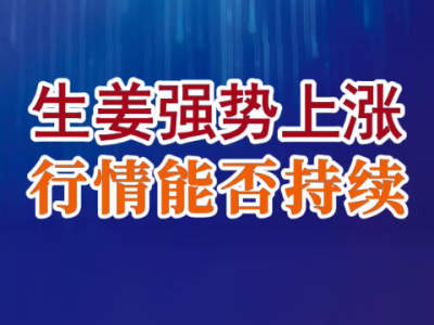 老石说姜：生姜强势上涨 行情能否持续？ ()