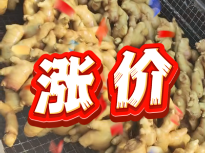 5月21日 生姜价格行情（涨价） ()