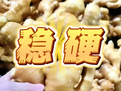 5月26日 生姜价格行情（稳硬） ()