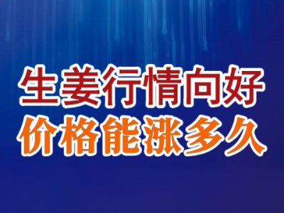 老石说姜：生姜行情向好，价格能涨多久？ ()