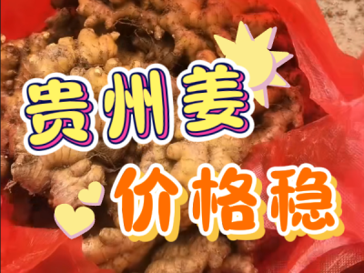 5月28日 生姜价格行情（贵州姜价格稳） ()