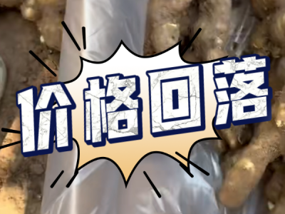 5月28日 安丘黑埠子（价格回落） ()