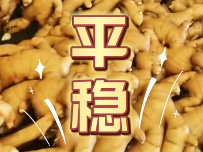5月29日 生姜价格行情（平稳） ()