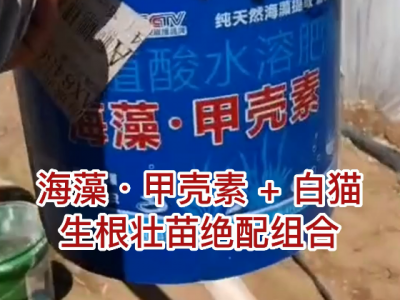 辽宁姜友用肥实测 ()