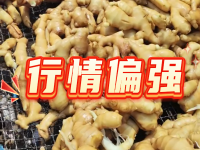 5月30日 生姜价格行情（行情偏强） ()