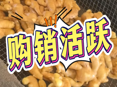 5月31日 生姜价格行情（购销活跃） ()