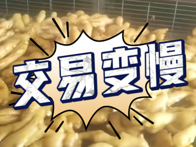 6月2日 生姜价格行情（交易变慢） ()