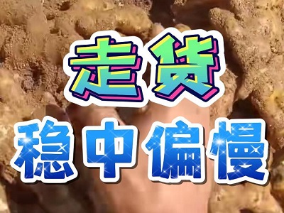 6月3日 安丘黑埠子（走货稳中偏慢） ()