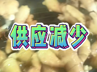 6月3日 生姜价格行情（供应减少） ()