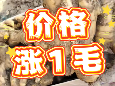 6月4日 安丘黑埠子（价格涨1毛） ()