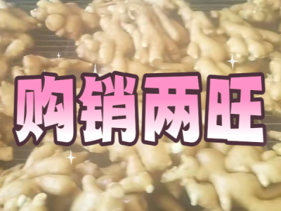 6月6日 生姜价格行情（购销两旺） ()