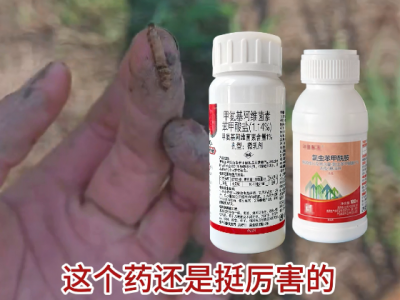 河南丁老师：打钻心虫还得用天下良田·钻心虫防治组合 ()