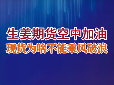 老石说姜：生姜期货空中加油，现货是稳坐钓鱼台还是乘风破浪？ ()