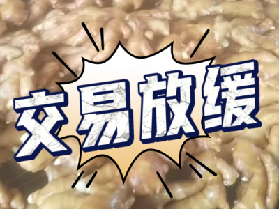 6月7日 生姜价格行情（交易放缓） ()