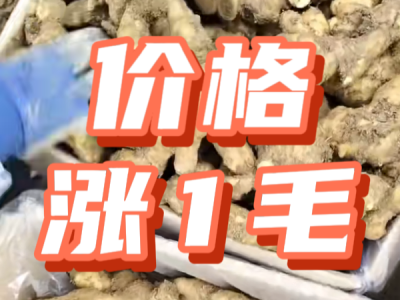 6月7日 安丘黑埠子（价格涨1毛） ()