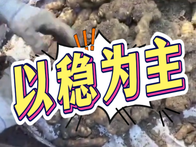 6月9日 安丘黑埠子（以稳为主） ()