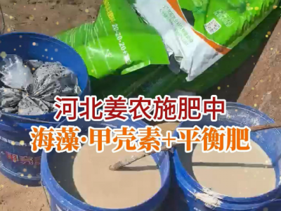 河北姜友施肥中... ()