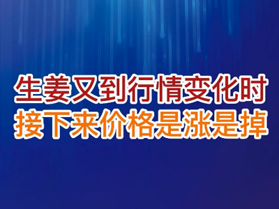 老石说姜：生姜又到行情变化时，接下来价格是张是掉？ ()