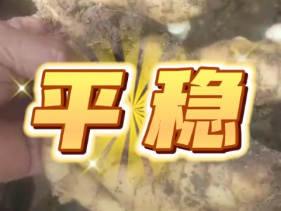 6月10日 安丘黑埠子（平稳） ()