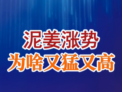 老石说姜：泥姜涨势为啥又猛又高？ ()