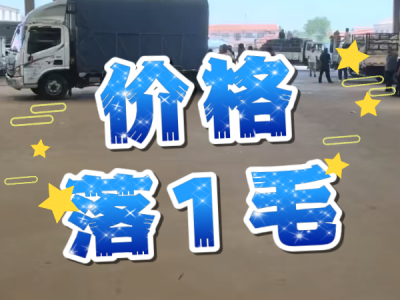 6月12日 安丘黑埠子（价格落1毛） ()