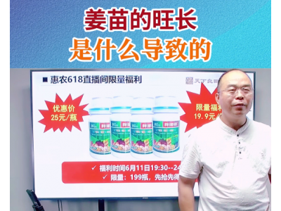 姜苗的旺长是什么导致的？ ()