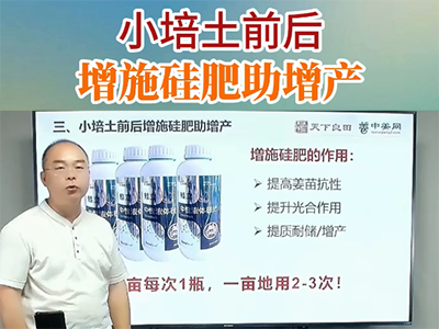 小培土前后增施硅肥助增产 ()