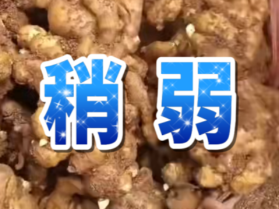 6月14日 安丘黑埠子（稍弱） ()