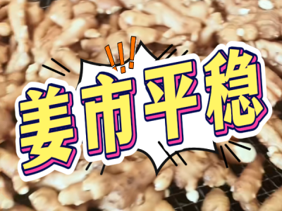 6月16日 生姜价格行情（姜市平稳） ()