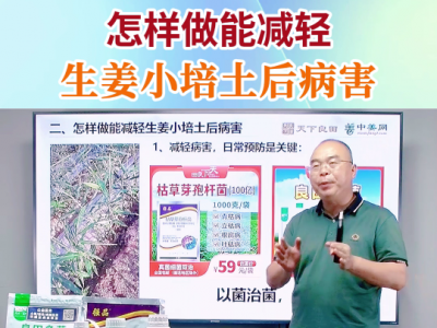 怎样做能减轻生姜小培土后病害 ()