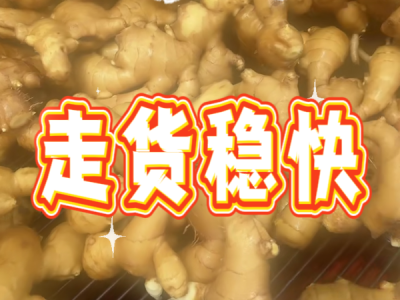 6月19日 生姜价格行情（走货稳快） ()