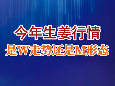 老石说姜：今年生姜行情是W走势还是M形态？ ()