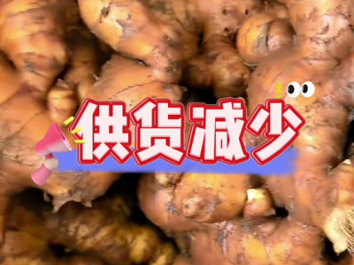 6月21日广州江南批发市场生姜价格行情 ()