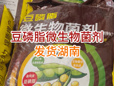 豆磷脂微生物菌剂发货湖南... ()