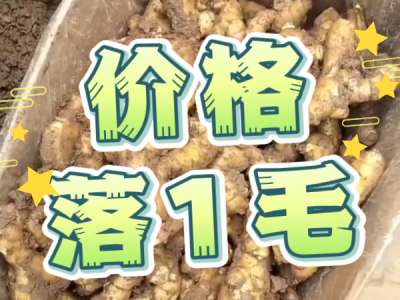 6月21日 安丘黑埠子（价格落1毛） ()