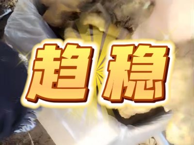 6月23日 安丘黑埠子（趋稳） ()