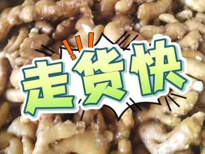 6月24日 生姜价格行情（走货快） ()