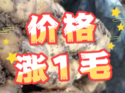 6月25日 安丘黑埠子（价格涨1毛） ()