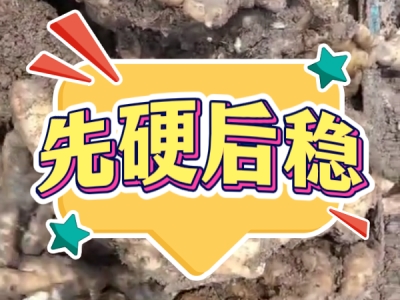 6月26日 安丘黑埠子（先硬后稳） ()