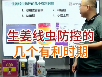 生姜线虫防控的几个有利时期 ()