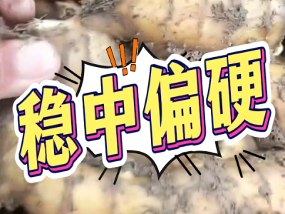 6月27日 安丘黑埠子（稳中偏硬） ()