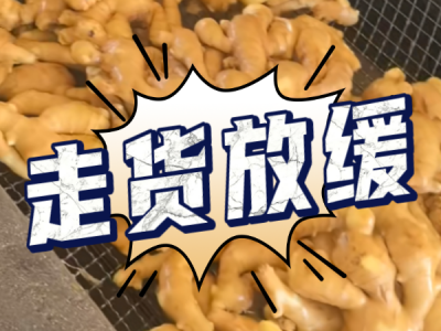 6月28日 生姜价格行情（走货放缓） ()