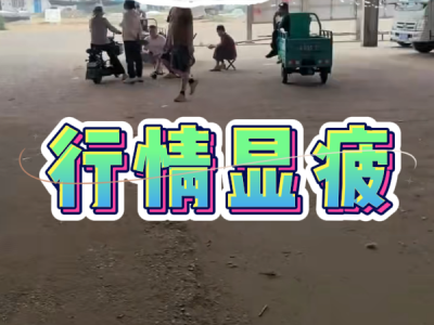 6月28日 安丘黑埠子（行情显疲） ()