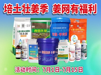 培土壮姜季 姜网有福利！ ()