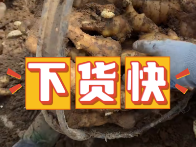 7月1日 安丘黑埠子（下货快） ()