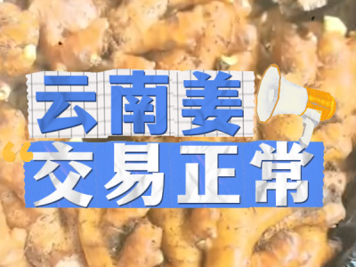7月2日 生姜价格行情（云南姜交易正常） ()
