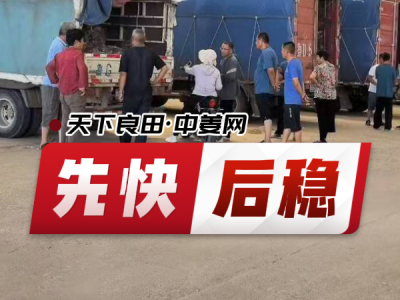 7月3日 安丘黑埠子（先快后稳） ()