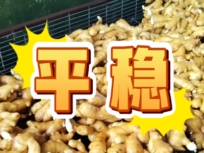 7月3日 生姜价格行情（平稳） ()